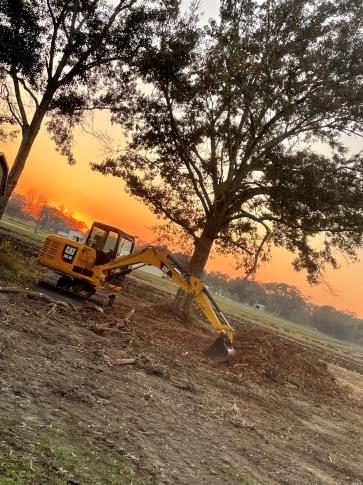Compact excavator working near a tree