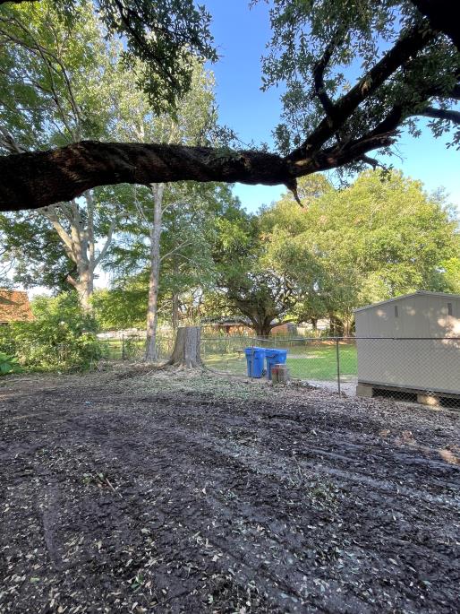 Tree work project - photo 4