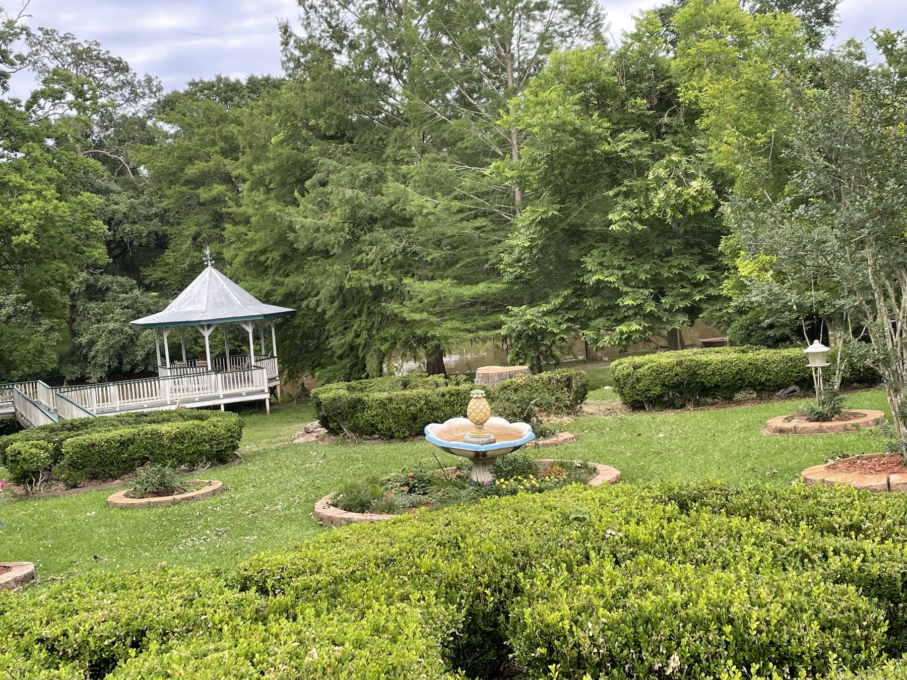 Tree removal 4 - project photo