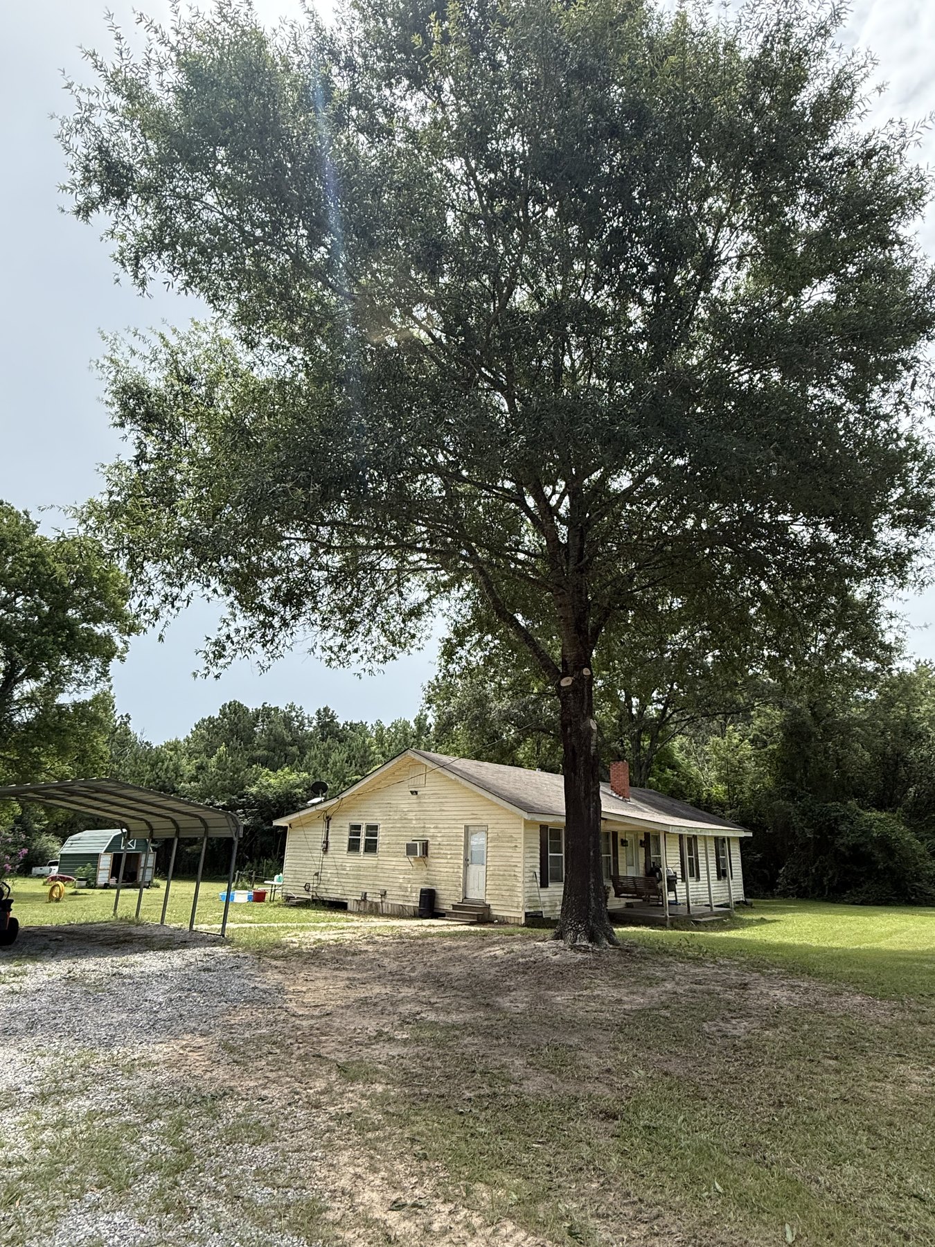Tree trimming 2 - project photo