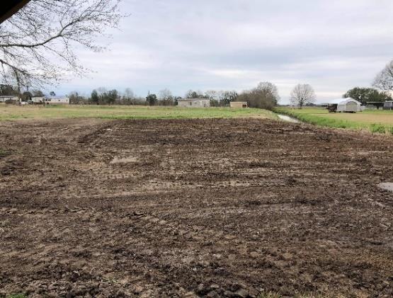 Land reconditioning project - photo 4