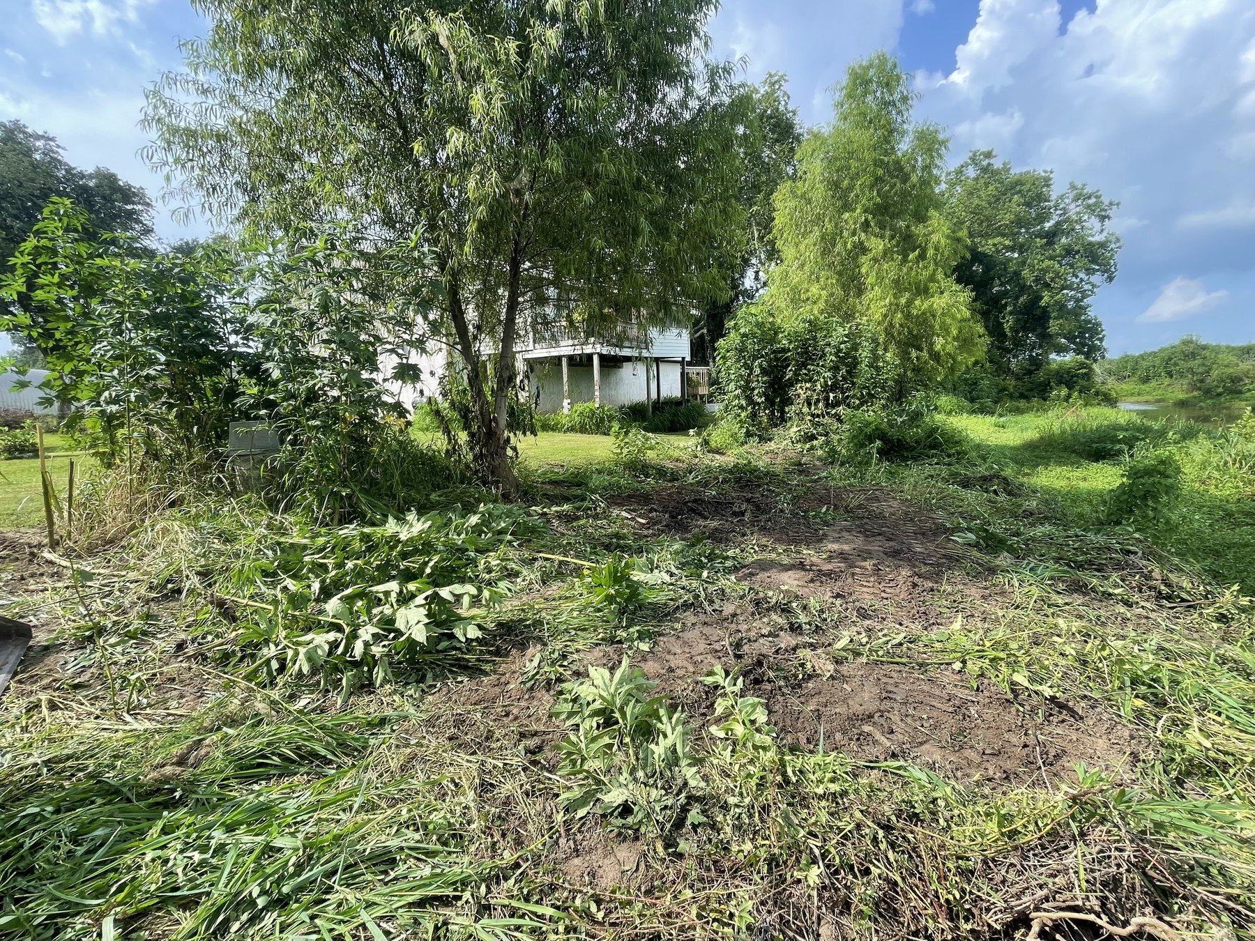 Land preparation 1 - project photo