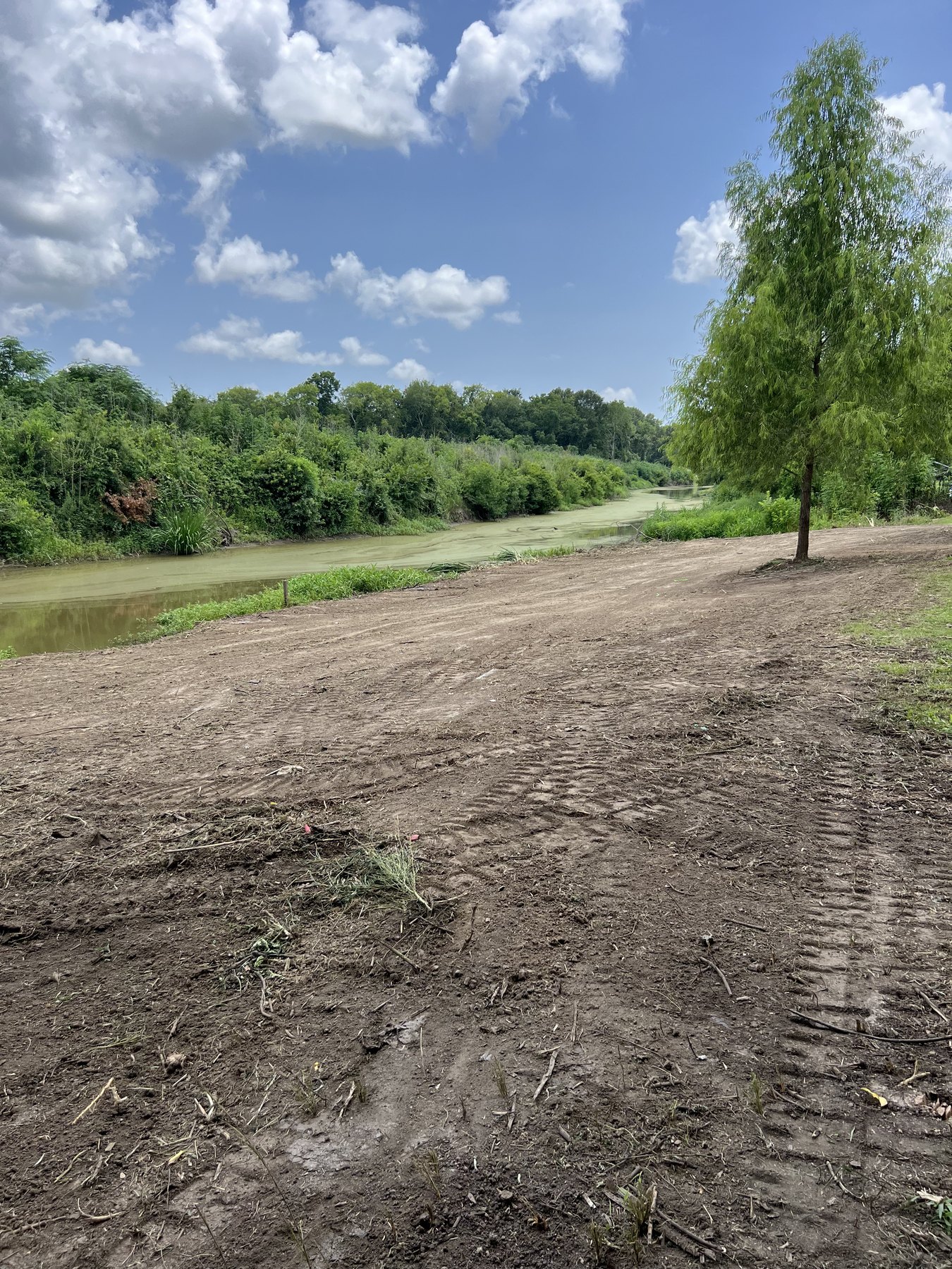 Land preparation 4 - project photo