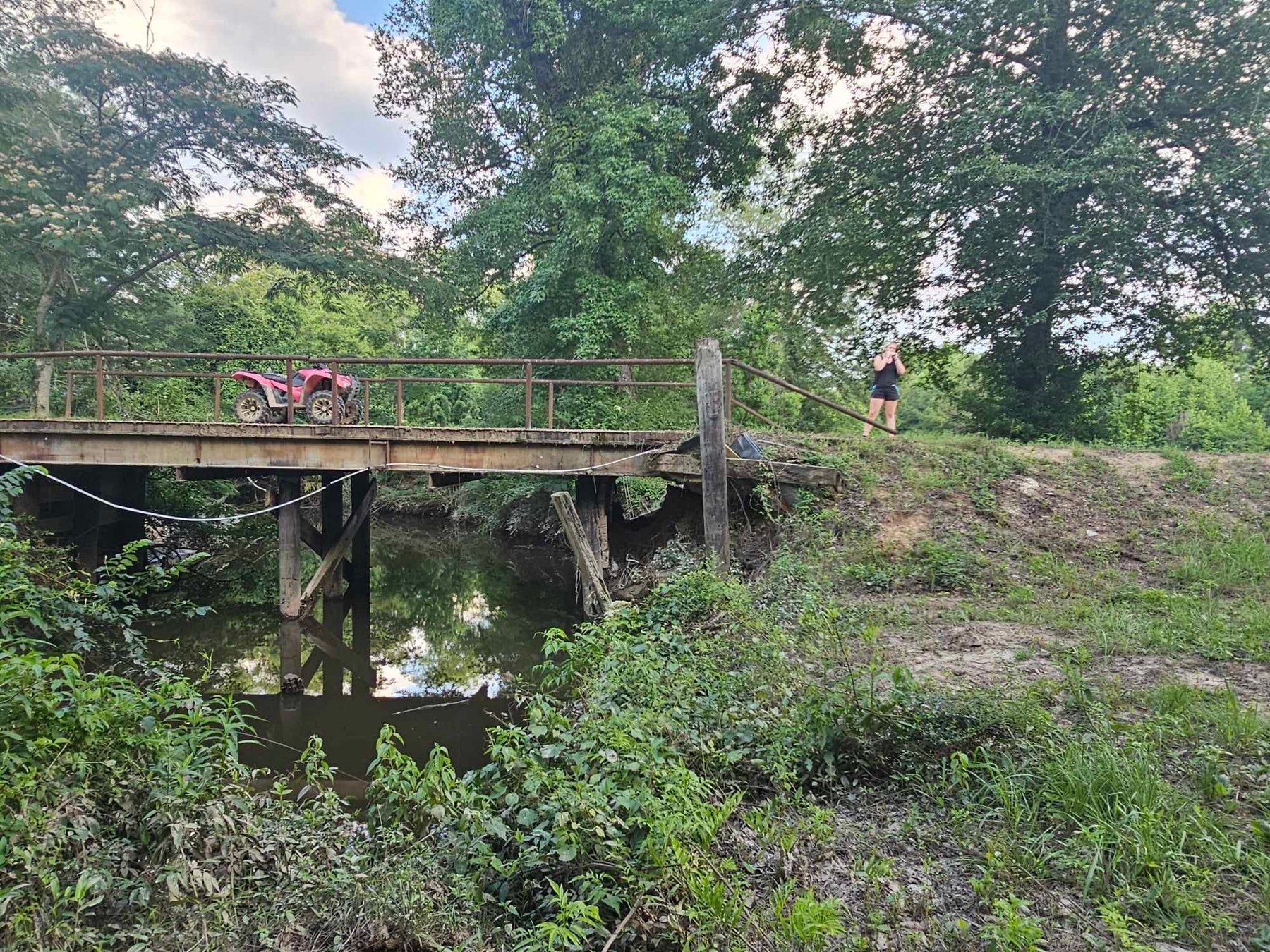 Bridge project - photo 1