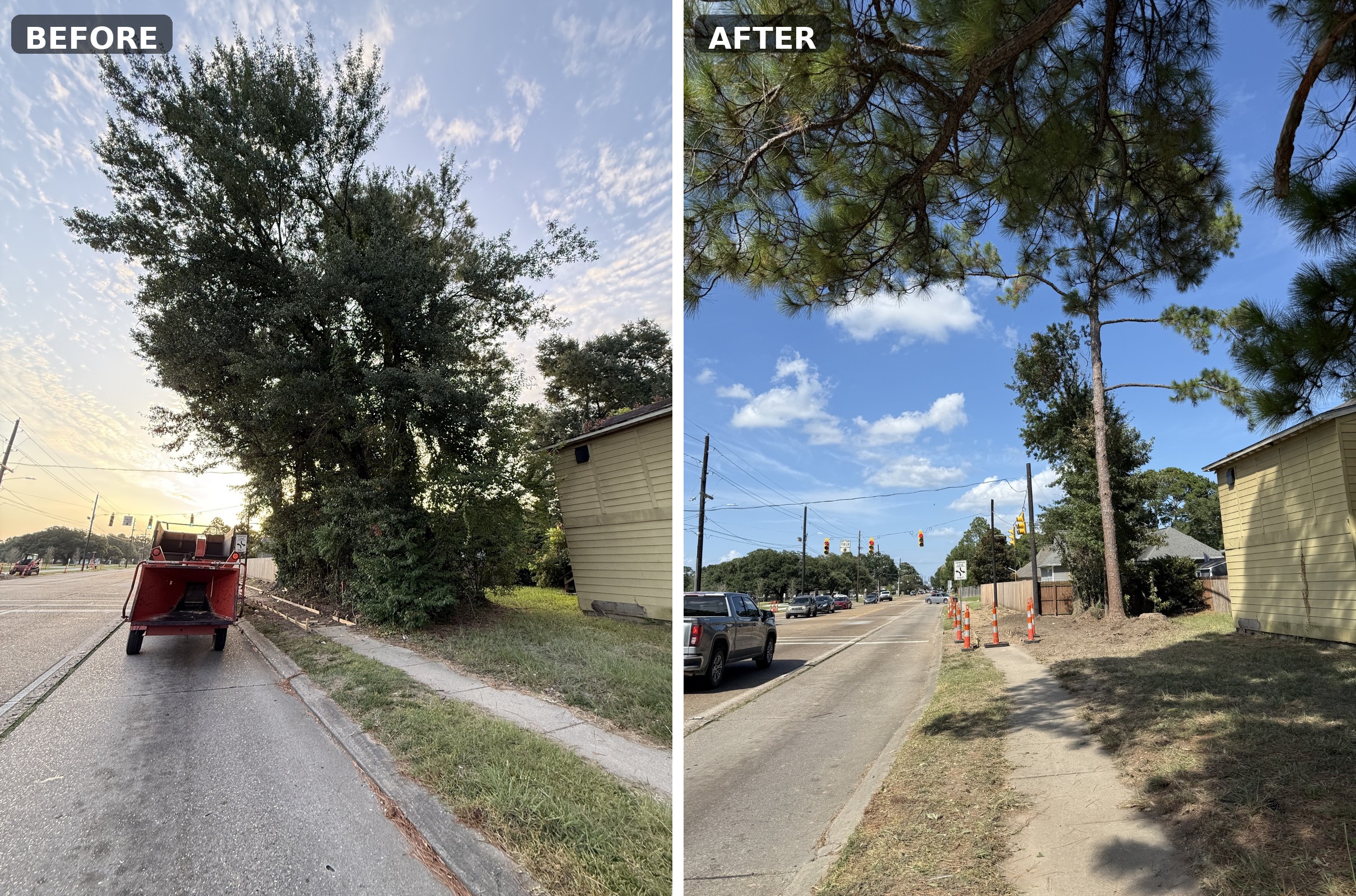 Before-and-after example of tree removal